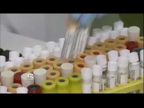 $10M in Federal Funding Awarded to University to Study Zika