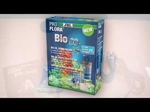 JBL BioCO2 Anlage für perfekten Pflanzenwuchs im Aquarium
