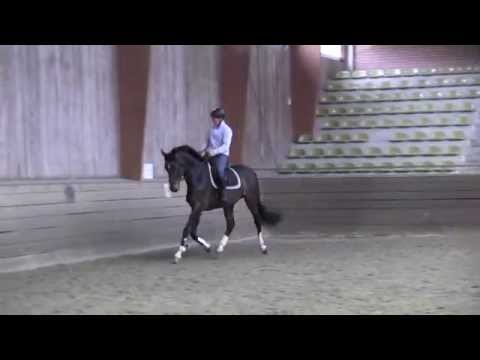 Lord Weedern v. Londontime - Weltregent H