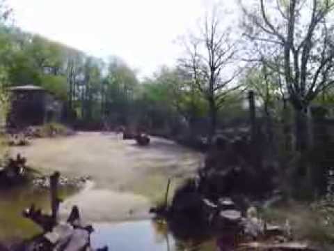 Zoo Osnarück bei den Giraffen Teil 1 ,am Mittwoch den 2.05.2012