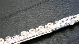 Video thumbnail for Armstrong Student Flute 103 by RentMYinstrument