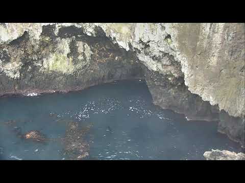 Anacapa Island Cove - Channel Islands National Park 12-10-2018 23:54:27 - 00:54:29