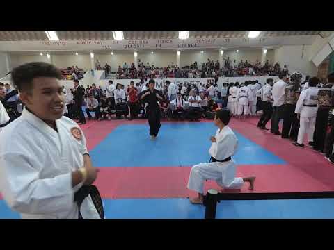 COPA BONSAI 2019(16)