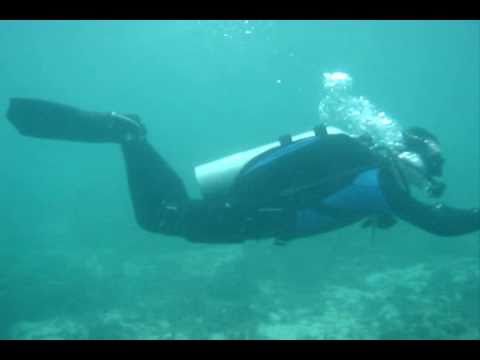 ACE-X DIR Sessions: New Order of the Hogarthian Code