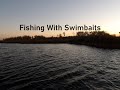Video Thumbnail for Fishing With Swimbaits