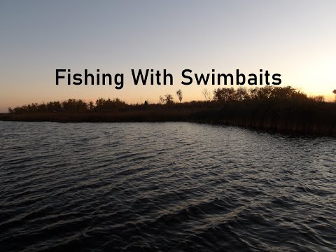 Fishing With Swimbaits