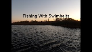 Fishing With Swimbaits