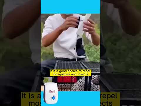 重曹が効かない？塩を使ってネズミを駆除する3つのヒントをご紹介します。  庭園