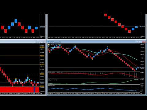 Video Quantum Live Renko Charts Indicator for MT5
