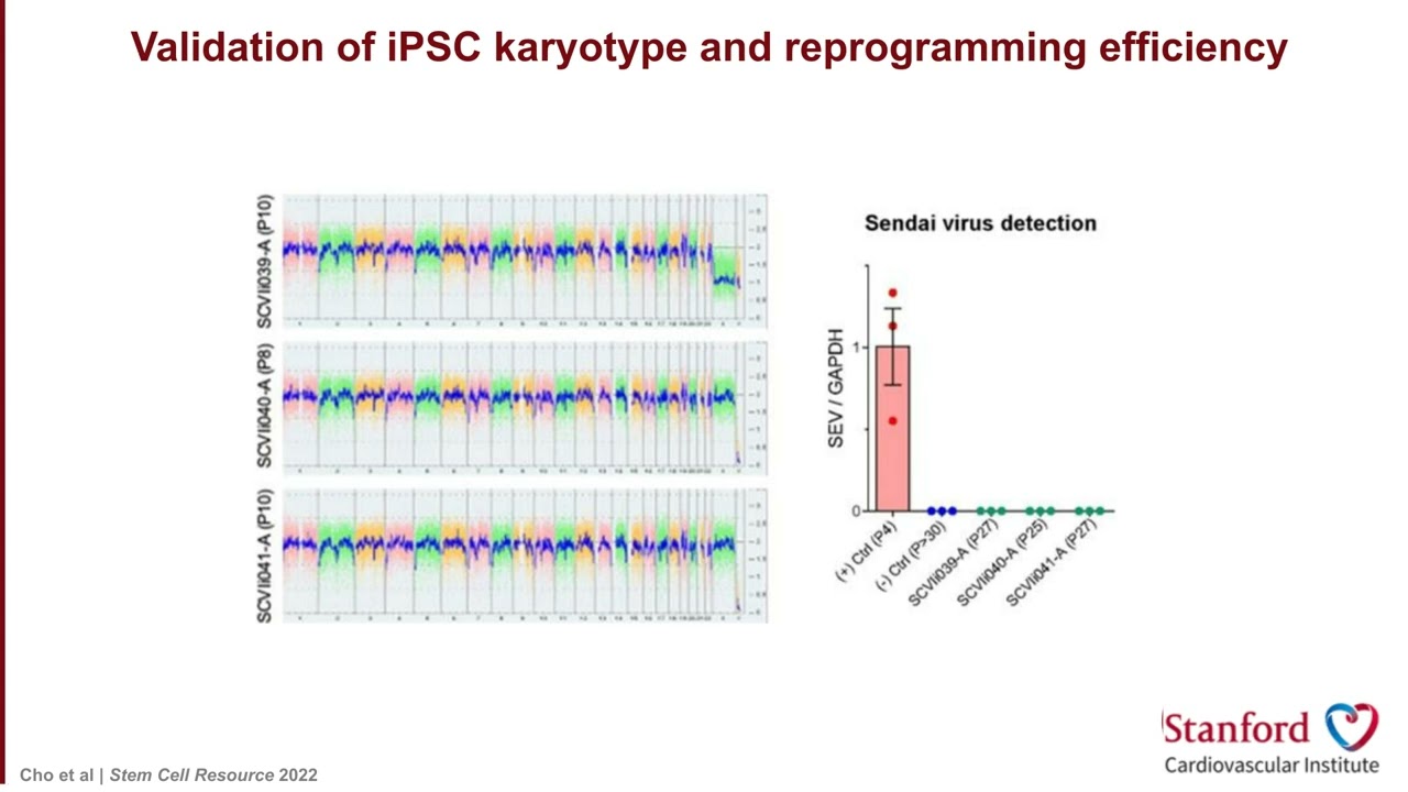 Using cutting-edge stem cell technology to model human cardiac diseases