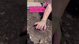 The Wellness Garden is a growing success!