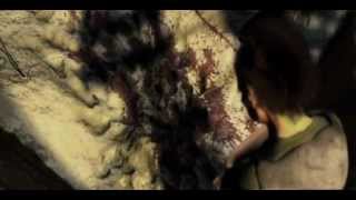 [ AMV ] Court Of The Prime Evil [ Diablo / King Crimson - The Court Of The Crimson King ]