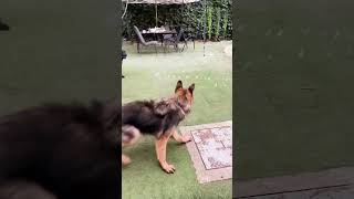 14 dňová permanentka, 25 € / deň