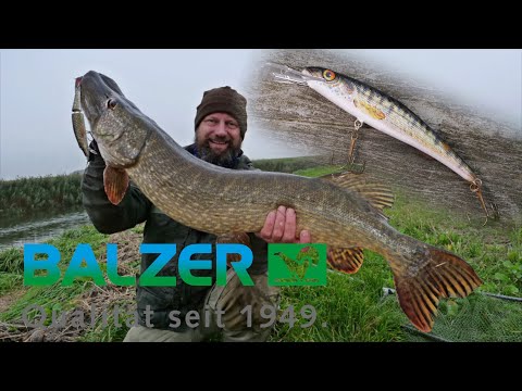 Matze Koch: UV Wobbler Natural Design! - BALZER Commercial