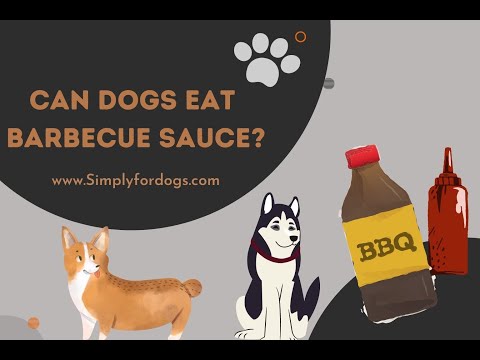 Can Dogs Eat Barbecue Sauce?