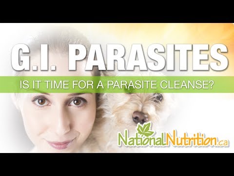 Parasites of the Digestive Tract