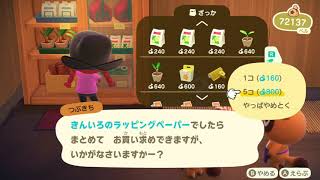 【#23(自粛Ver.)】無人島でエンジョイする２人のオッサン【あつまれどうぶつの森】