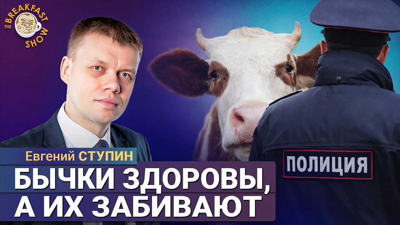Массовый забой скота: олигархи уничтожают частных фермеров | Евгений Ступи?