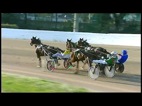 Trotto 27/11/2020 - 4ª corsa