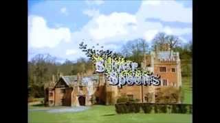 Silver Spoons Theme Song (Season 1)