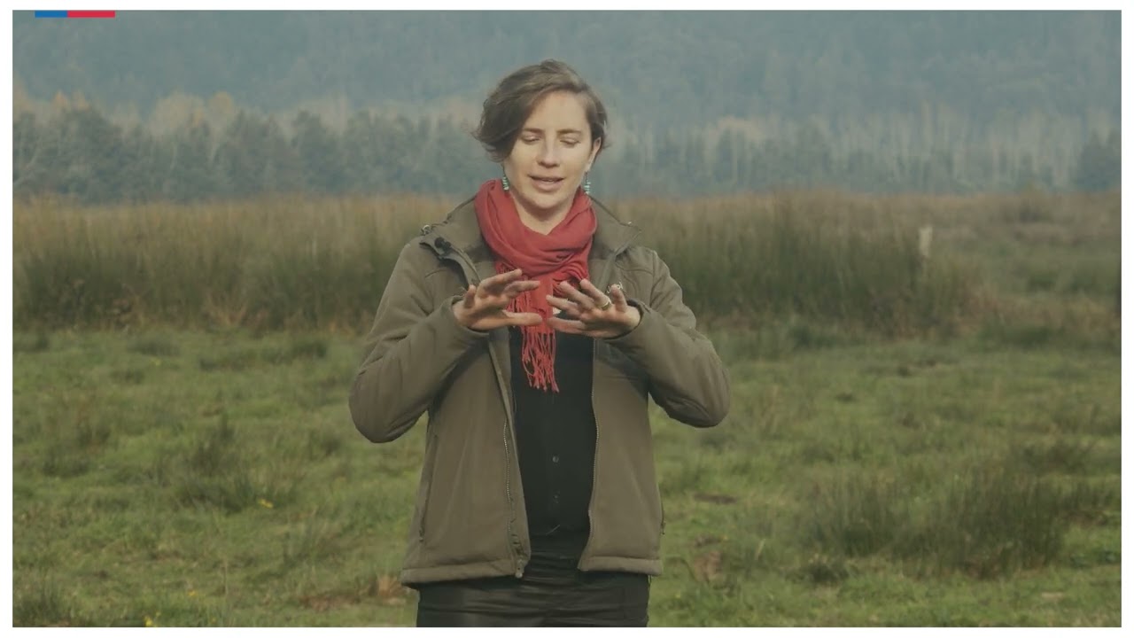 Módulo 4 Video 7 - Análisis final de gabinete