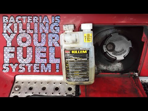 DIESEL FUEL SYSTEM CLEANER