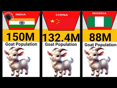 Population Of Goat By Country 2025