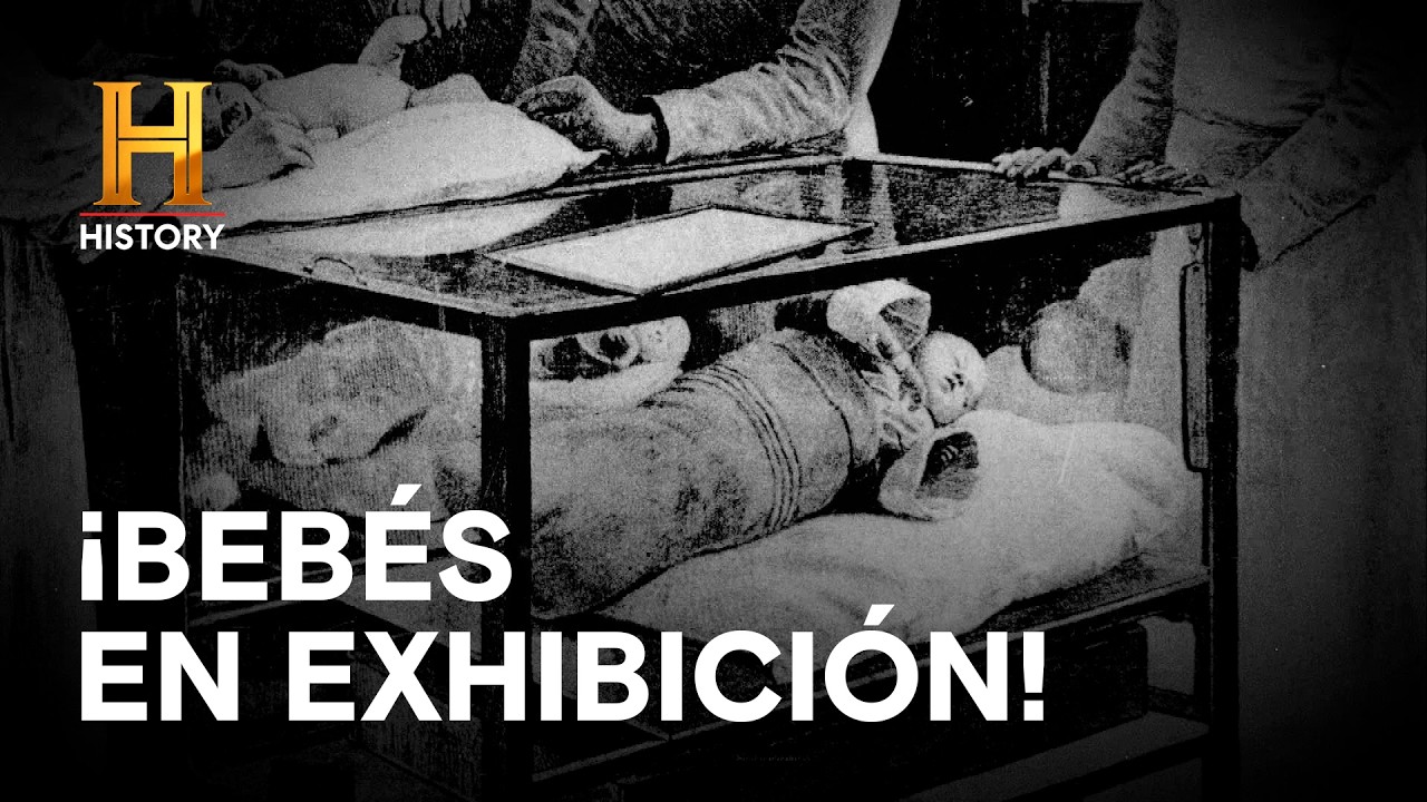 ¡BEBÉS EN EXHIBICIÓN! El Origen Secreto de las Incubadoras 👶🎪 - Increíble con Dan Aykroyd