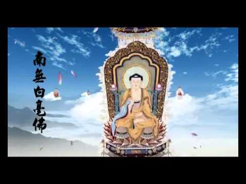 download lagu mp3 mp4 1000 Buddhas Art, download lagu 1000 Buddhas Art gratis, unduh video klip 1000 Buddhas Art