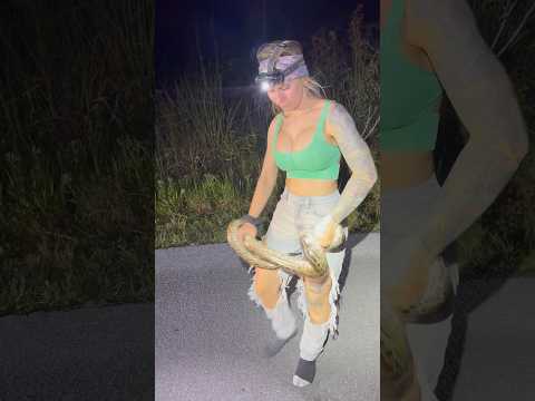 🐍🐍🐍 Tay ❤️ #florida #snake #tobiestroop #snakecatcher #reptiles #python #invasivespecies