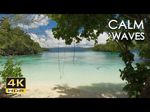 4K HDR Calm Waves - 10 Hours - Relaxing Ocean Wave Sounds - Tropical Beach Nature Video for Sleeping