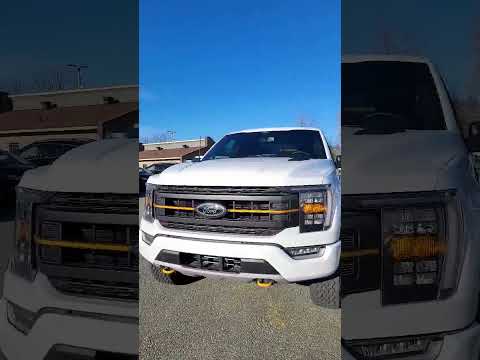 Tremor vs Raptor: How would you spend your money?