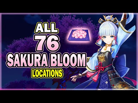 All 76 Sakura Bloom Locations - Efficient Farming Route - Ayaka Ascension Material | Genshin Impact
