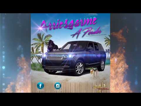 Arriesgarme A Perder XCELL ZM