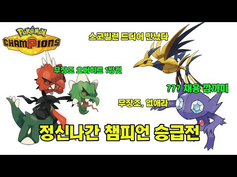 정신나간 더블배틀 상위권 근황 [포켓몬 챔피언스 더블]