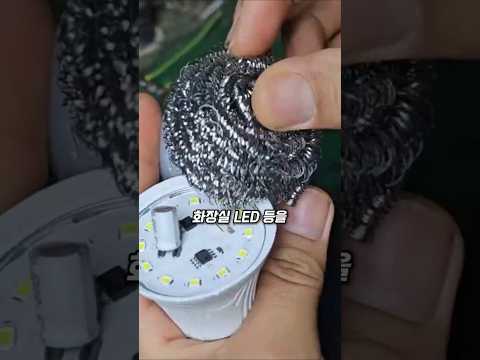 전구 속 철수세미