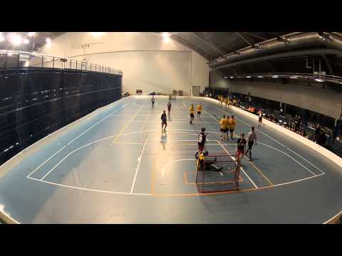 RSS Panthers C2 Black - Ilves 22.11.2014