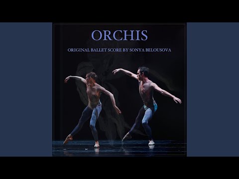 Orchis: VI. Pas de deux - Finale