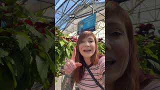 Smart plant shopping