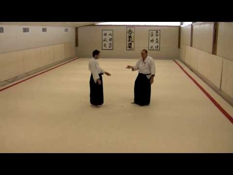 Aikido: Dynamic 11, moves 1 and 2