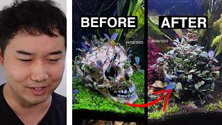 NEW Aquascaping technique JUST DROPPED | Fish Tank Review 329