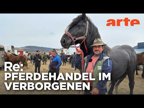 Video Thumbnail: Rumäniens umstrittene Pferdemärkte | ARTE Re: