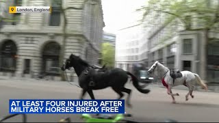 At least 4 injured after military horses break loose in London