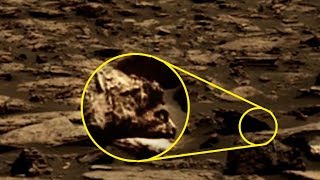 5MysteriousCreaturesNASACaughtOnCamera!
