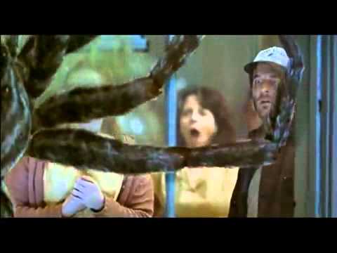 Trailer-Vorschau: Arac Attack - Angriff der achtbeinigen Monster