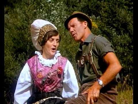 Ansambel bratov Avsenik - Čez zelene trate