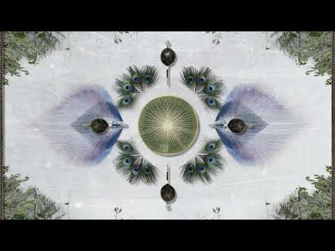 Raio, sophie sôfrēē - Buho (Liquid Bloom & PERE Remix)