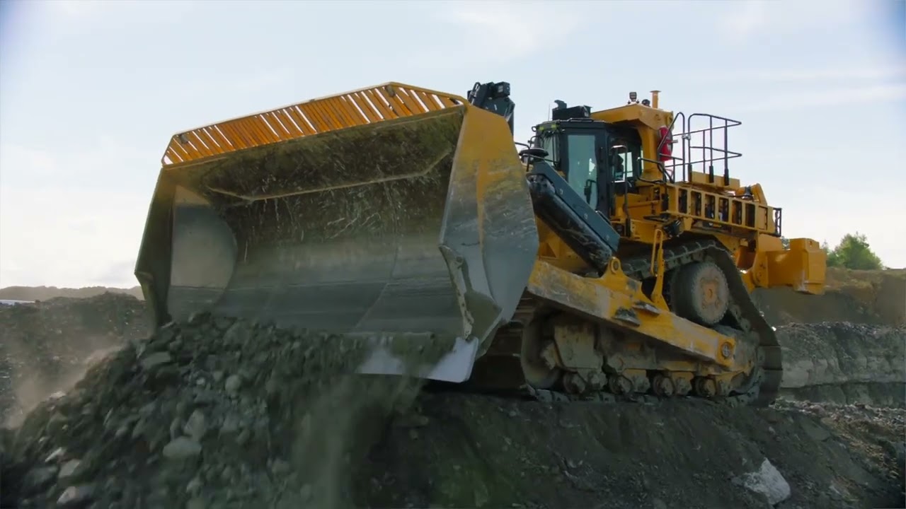 D11