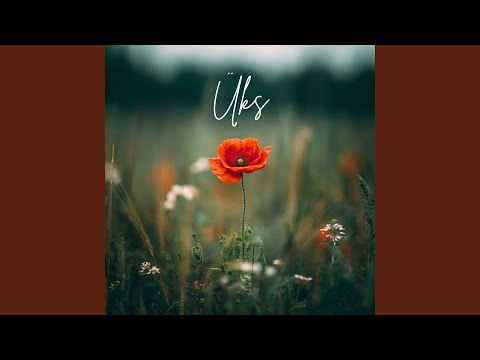 Üks (feat. Koit Toome)