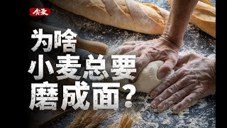 [閒聊] 麥片與麵粉一樣嗎？